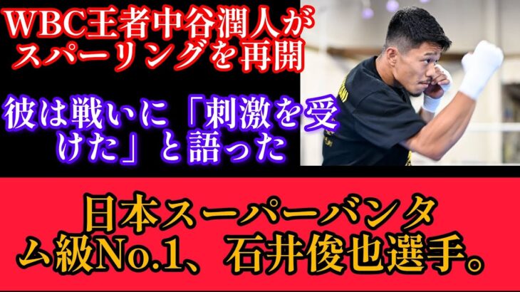 ＷＢＣ王者・中谷潤人がスパー再開 日本Ｓバンタム級１位・石井渡士也との実戦に「いい刺激が入りました」#ボクシング#ボクシングの試合#武道#Nakatani Junto