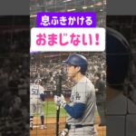 ネクストで魔法を使う大谷翔平さん OHTANI MAGIC on his bat！ #shoheiohtani #ohtani #大谷翔平