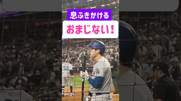 ネクストで魔法を使う大谷翔平さん OHTANI MAGIC on his bat！ #shoheiohtani #ohtani #大谷翔平