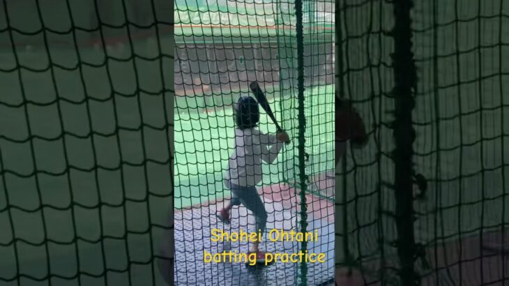 Shohei Ohtani ♥️ Batting Practice JAPAN 大谷翔平 #shorts #batting #shohei