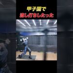 甲子園でイチローするギャル　              【 Shohei Ohtani HR】ドジャース　ホームラン #shorts #tiktok    #viral #shoheiohtani