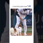 Shohei Ohtani’s dog, Decoy, did the first pitch at Dodgers Stadium! #dodgers #mlb #shoheiohtani