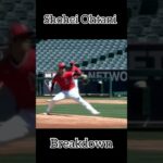 Shohei ohtani breakdown