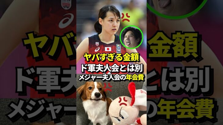 【驚愕】大谷翔平の妻、真美子夫人も入会可能なメジャー夫人会の驚愕の年会費が話題に！#shorts #大谷翔平 #野球