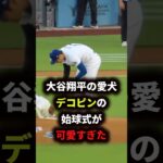 大谷翔平の愛犬デコピンの始球式が可愛いふぎた