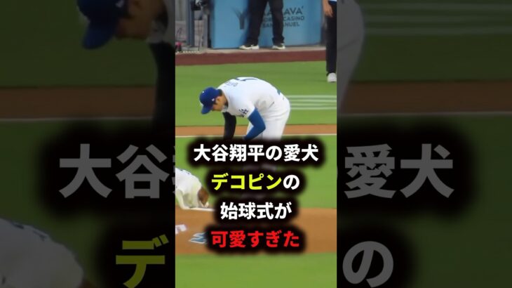 大谷翔平の愛犬デコピンの始球式が可愛いふぎた