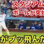 大谷にボールが強襲！スタジアム驚愕の大谷ブッ飛び！現地映像