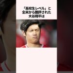 大谷翔平とイチローに関する雑学　#大谷翔平 #メジャーリーグ #ドジャース #野球