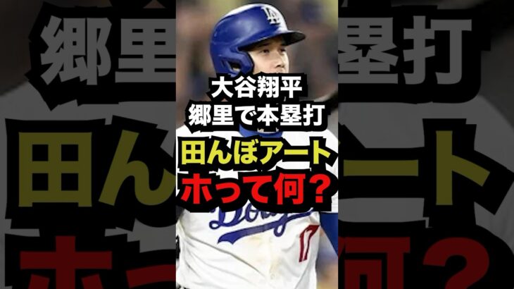 「大谷翔平」郷里で本塁打田んぼアート「ホ」って何！？　#プロ野球#野球