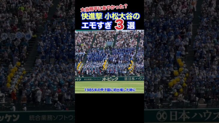 大谷翔平にあやかった？快進撃の小松大谷エモすぎエピソード３選 #甲子園 #野球 #応援歌 #高校野球 #大谷翔平