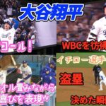 決勝打の大谷選手吠えた！MVPコールが鳴り響く！イチロー選手に並ぶ56盗塁！いよいよマジック2、明日勝てば地区優勝🏆✨️