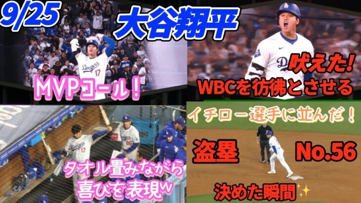 決勝打の大谷選手吠えた！MVPコールが鳴り響く！イチロー選手に並ぶ56盗塁！いよいよマジック2、明日勝てば地区優勝🏆✨️