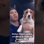 SHOHEI OHTANI CELEBRA con DECOY su TÍTULO con DODGERS en la DIVISIÓN OESTE de la LIGA NACIONAL MLB