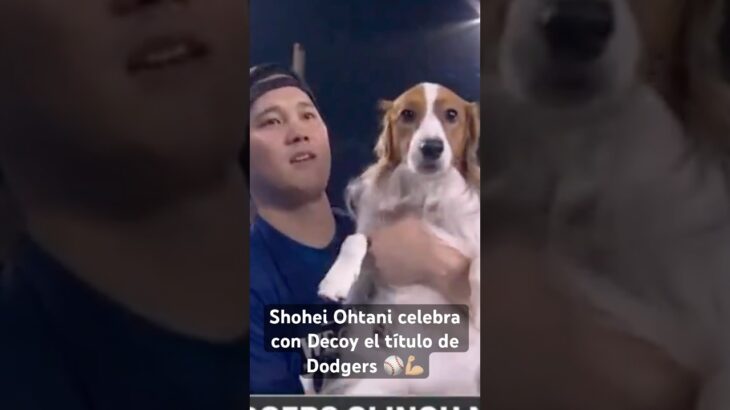 SHOHEI OHTANI CELEBRA con DECOY su TÍTULO con DODGERS en la DIVISIÓN OESTE de la LIGA NACIONAL MLB