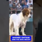 SHOHEI OHTANI and his DOG DECOY with the first pitch.