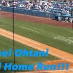 Shohei Ohtani 53rd Home Run!!!#dodgers #mlb #baseball #shoheiohtani #大谷翔平 #ドジャース #baseballplayer