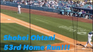 Shohei Ohtani 53rd Home Run!!!#dodgers #mlb #baseball #shoheiohtani #大谷翔平 #ドジャース #baseballplayer