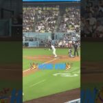 Shohei Ohtani Homerun at Dodger Stadium #shoheiohtani #dodgers #baseball