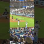 The epic swing from SHOHEI OHTANI #shoheiohtani #baseball #mlb