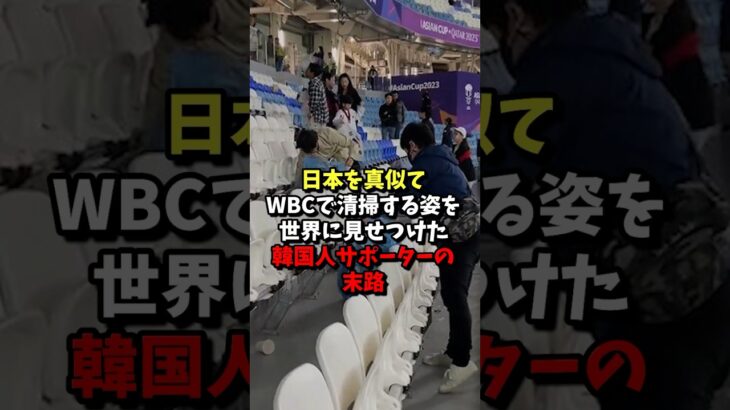 日本を真似てWBCで清掃する姿を世界に見せつけた韓国人サポーターの末路 #shorts #海外の反応 #韓国