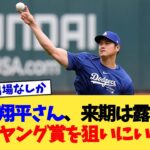 大谷翔平さん、来期は露骨にサイ・ヤング賞を狙いにいく模様【なんJ プロ野球反応集】【2chスレ】【5chスレ】