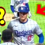 ファンが大谷にブーイングした次の瞬間・・「コレが大谷なのか」メッツファンも言葉が出ないわ！！【MLB】