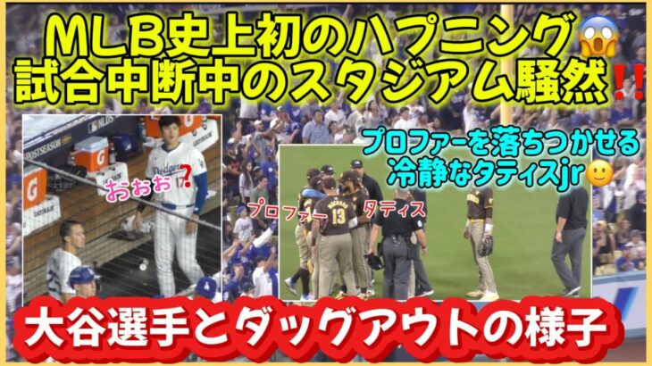 MLB史上初のハプニング😱試合中断中のスタジアム騒然❗️大谷選手とダッアウトの様子【地区シリーズドジャースvsパドレス】#大谷翔平現地映像 #大谷翔平速報#ohtanishohe