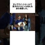 「Photo by 真美子さんだよね」大谷翔平、スイートルームで披露したデコピンとの２Sに反響！ 愛犬の主人への塩対応が「わざと？」「またそっぽ向いてるw」と話題にについてのおはなし #野球 #プロ野