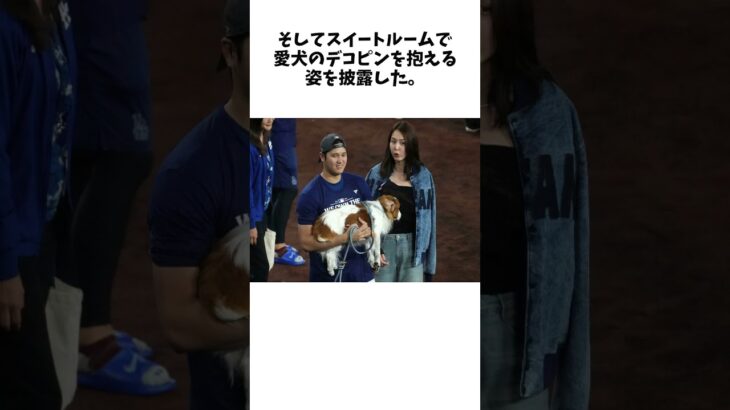 「Photo by 真美子さんだよね」大谷翔平、スイートルームで披露したデコピンとの２Sに反響！ 愛犬の主人への塩対応が「わざと？」「またそっぽ向いてるw」と話題にについてのおはなし #野球 #プロ野