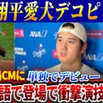 【信じられない】大谷翔平の愛犬デコピンが大手TV局CM出演！英語での見事な演技に全米が驚愕！