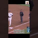 道奇VS洋基第五戰 | 大谷翔平 | Dodgers WIN | Shohei Ohtani | 道奇總冠軍 | 世界大賽 | WORLD SERIES | 快樂飛天豬