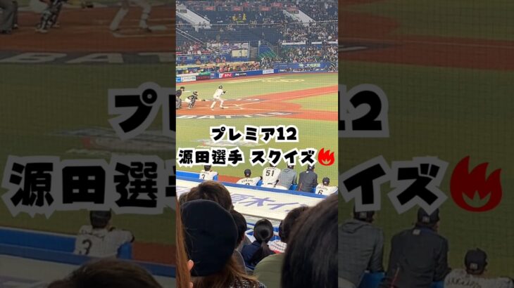 源田選手のセーフティースクイズ🔥⚾#shorts #野球 #プレミア12 #wbc #日本代表 #源田壮亮 #千葉マリンスタジアム