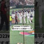 2023WBCで大谷翔平に憧れすぎている韓国ナイン達 #shoheiohtani #大谷翔平