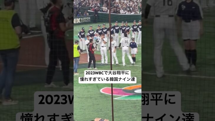 2023WBCで大谷翔平に憧れすぎている韓国ナイン達 #shoheiohtani #大谷翔平