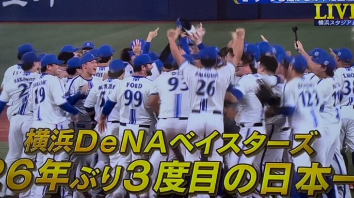 【横浜優勝】横浜DeNAベイスターズ日本一の瞬間！(2024年11月3日Dena vs ソフトバンク)