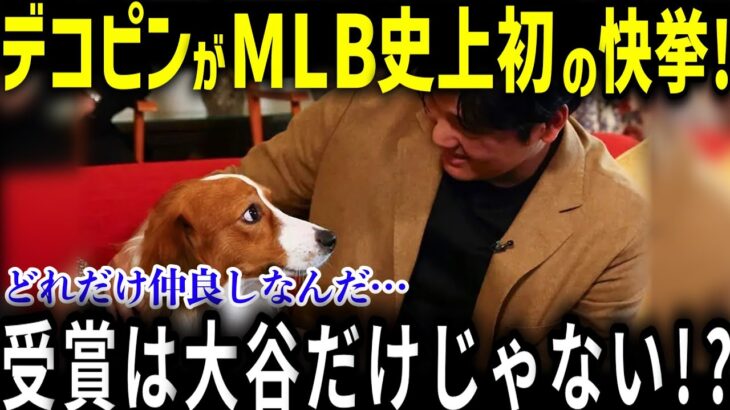 祝！デコピンが初受賞！大谷翔平の愛犬デコピンがMLB史上初の快挙！「どれだけ仲良しなんだ…」米国で異例の特集も！【MLB／野球／大谷翔平/海外の反応/メジャー/犬】