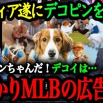 「デコピンは勝利を呼ぶワンちゃんだ」デコピンがMLBの広告塔に！？Wチャンピオンを呼び込んだ、デコピン＆真美子さんと大谷翔平の愛情あふれる1年間のストーリー【大谷翔平】【海外の反応】