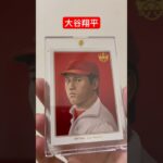 Shohei Ohtani 17 Sho-time