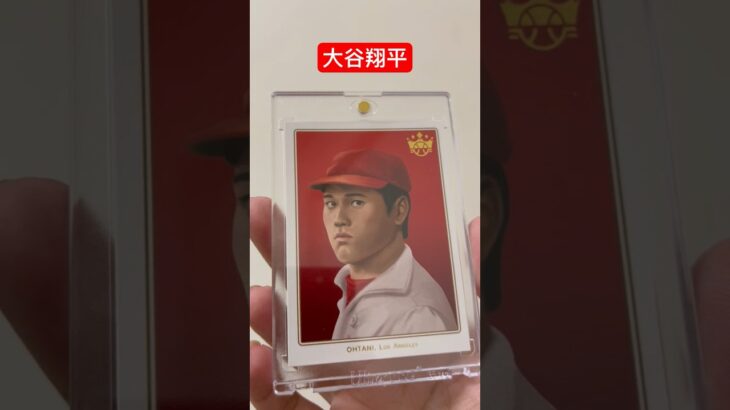 Shohei Ohtani 17 Sho-time