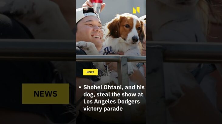 Shohei Ohtani, and his dog, steal the show at Los Angeles Dodgers victory parade