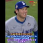 Shohei Ohtani is 2024 WorldSeries Champion.#shoheiohtani #worldseries #野球 #大谷翔平#mlbb #shorts #ドジャース