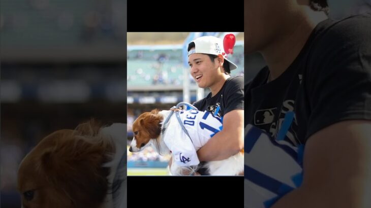 Shohei Ohtani super cute super cute music super cute clips I hope you ladies enjoy 🥰🥰🥰❤️❤️❤️