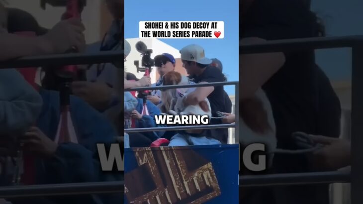 Shohei Ohtani’s Dog STEALS The Show In Dodgers Parade 🐕 | #Shorts