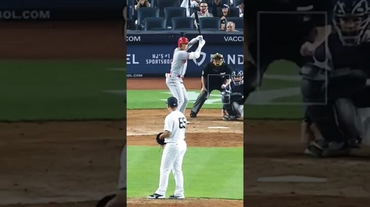 This Nestor  Cortes – Shohei Ohtani at-bat -is still legenda 😇😃 #mlb #lathanthekidumpire #shortsfeed