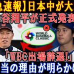 【緊急速報】日本中が大騒ぎ! 大谷翔平が正式発表!「WBC出場辞退!」本当の理由が明らかに!