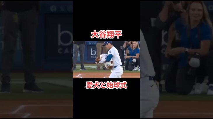 【大谷翔平】愛犬デコピンが始球式#大谷翔平 #dodgers #野球 #shorts