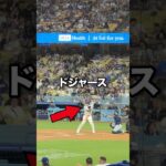 ドジャース観るまでの費用代公開！#shorts #大谷翔平 #海外旅行