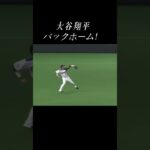 大谷翔平、外野でも無敵無双集 #shorts #野球 #大谷翔平