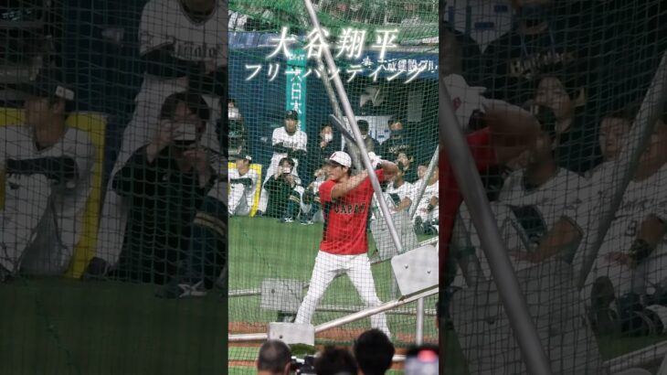 【豪快】大谷翔平のフリーバッティング #shorts #baseball #大谷翔平