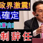 【暴露】日本政治に大衝撃！岸田元首相の隠れた外交ミス！日本に致命的なダメージはあるのか？岸田の顔面蒼白！辞職強要【国民の声】